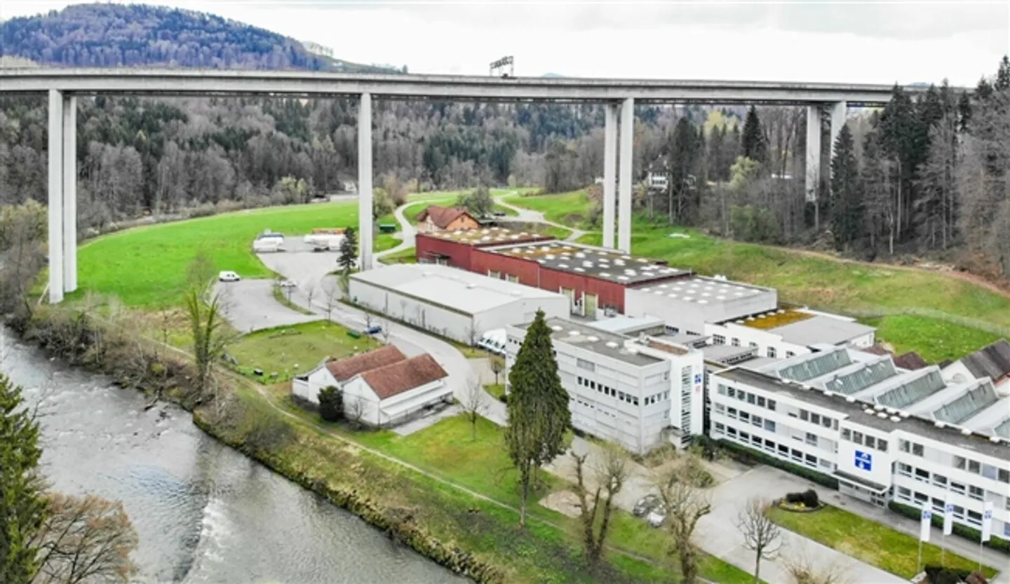 Spacious commercial space with cranes in the lively Sitter Valley for rent - Photo 10 of 12