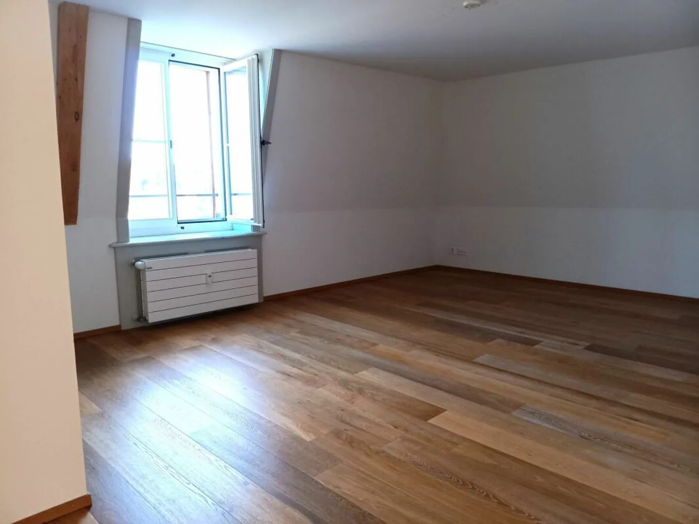 Charming 2.5 Room Apartment - Photo 8 of 11