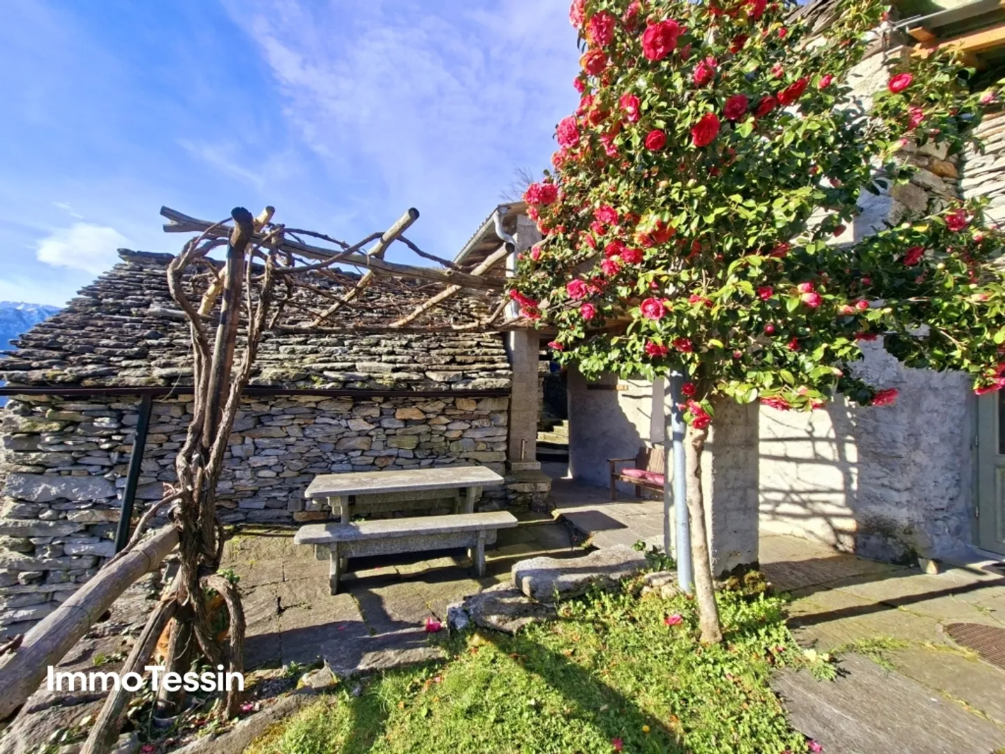 Charming and stylishly renovated dream rustic house with a view of the Verzasca dam and 5800 m2 of natural land - Photo 3 of 13