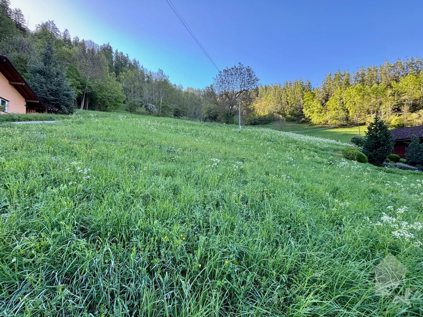 Building Plot in Nendaz - Photo 4 of 4