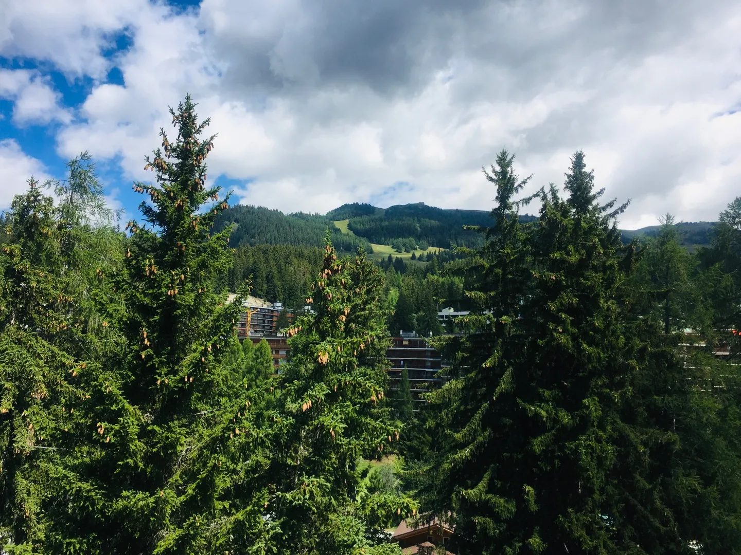 Charming Garden Studio Retreat - Photo 10 of 12