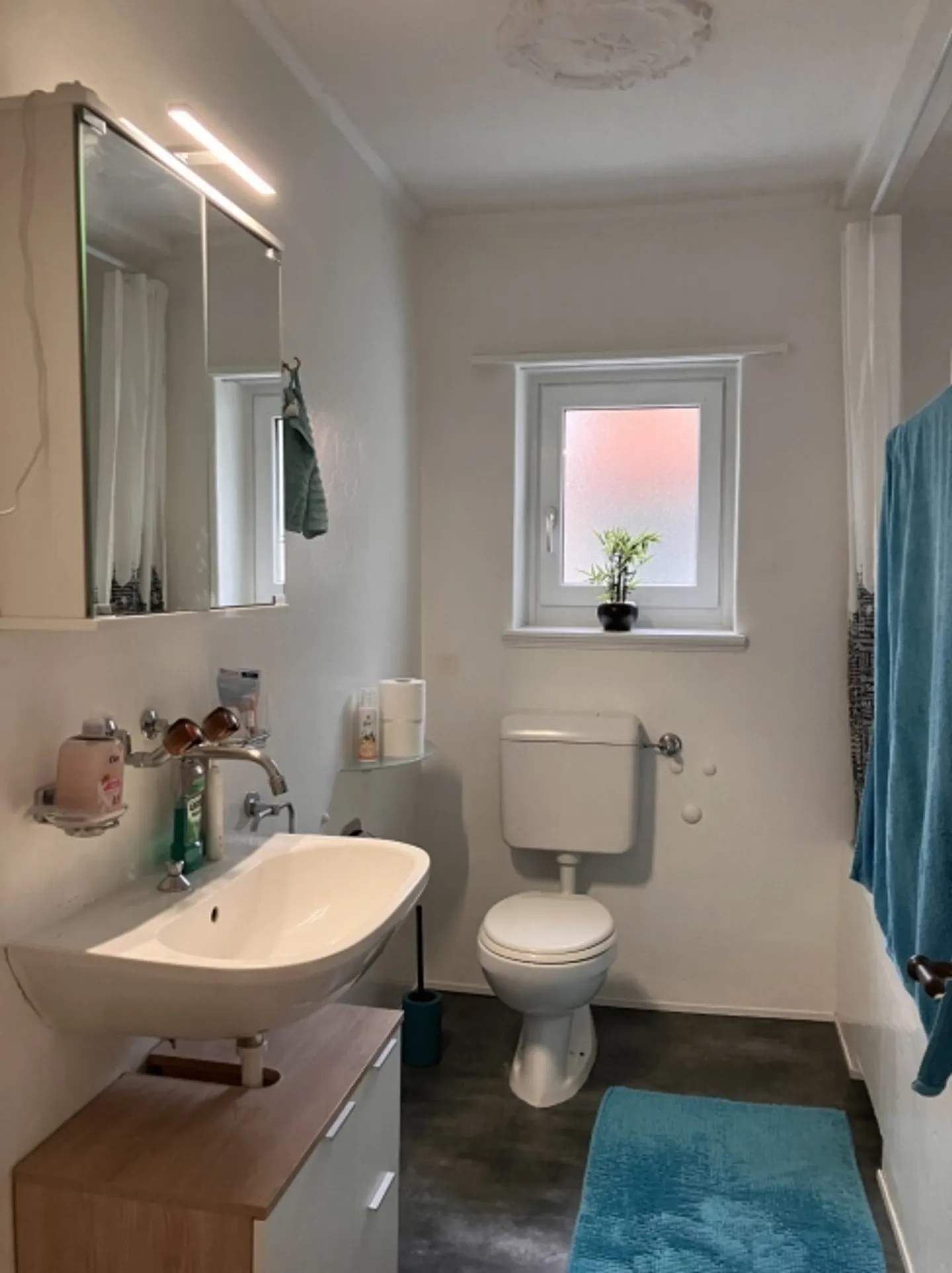 Appartamento 2½ locali a Steffisburg (BE), arredato, temporaneo - Foto 5 di 7