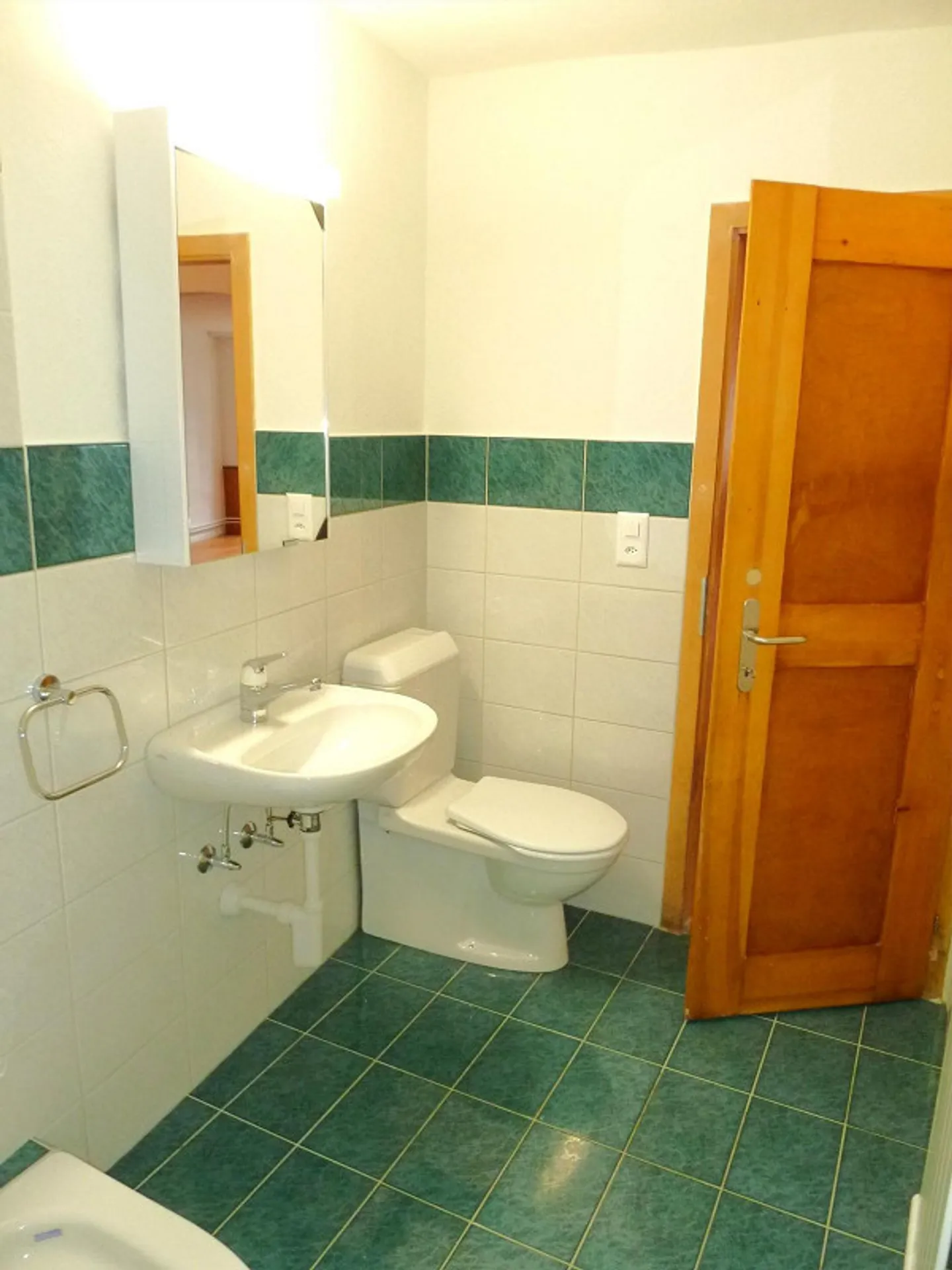 Appartamento 1.5 stanze a Sciaffusa - Foto 5 di 7