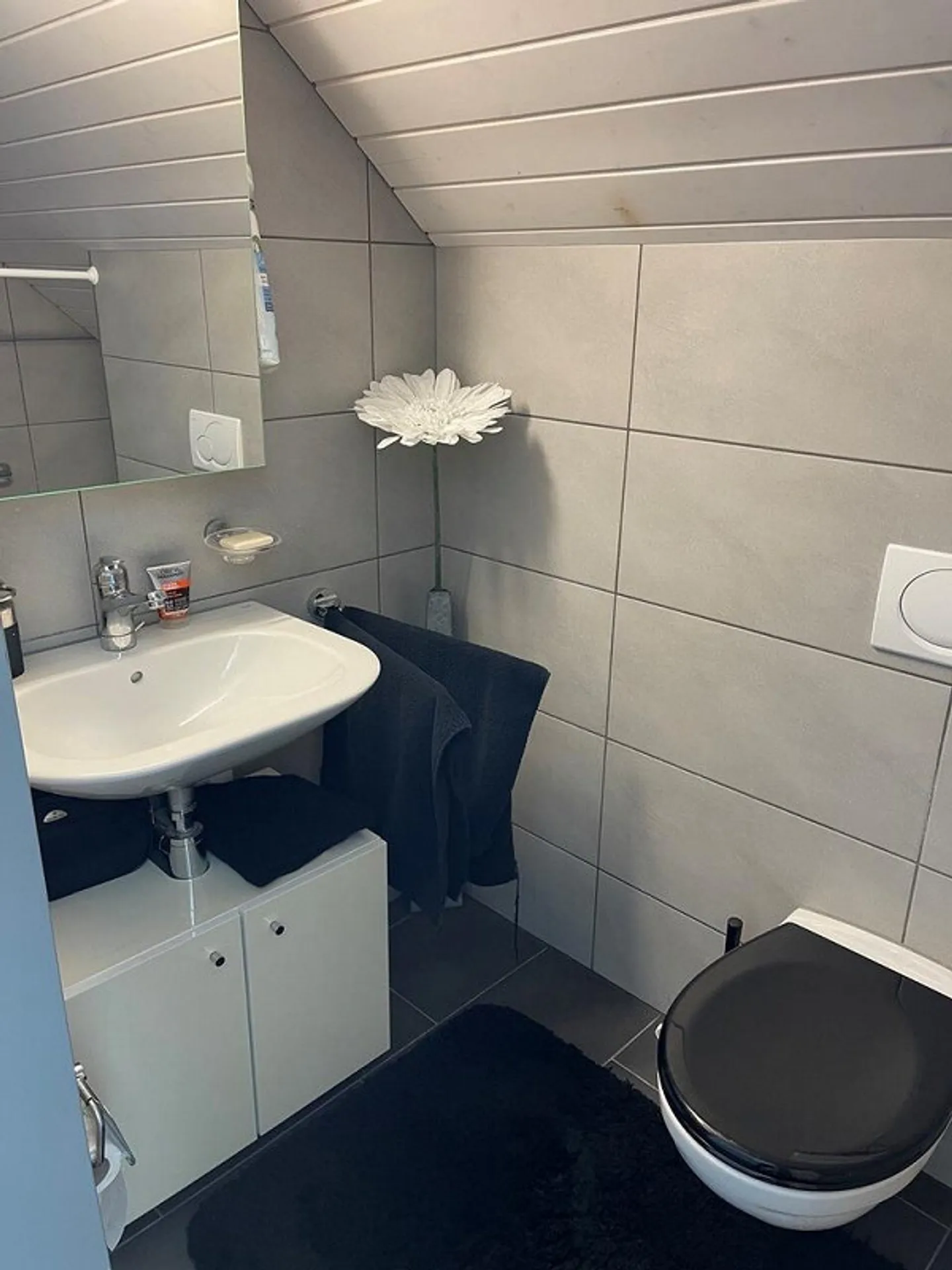 Modern living in Unterlunkhofen - Your new home awaits - Photo 10 of 12