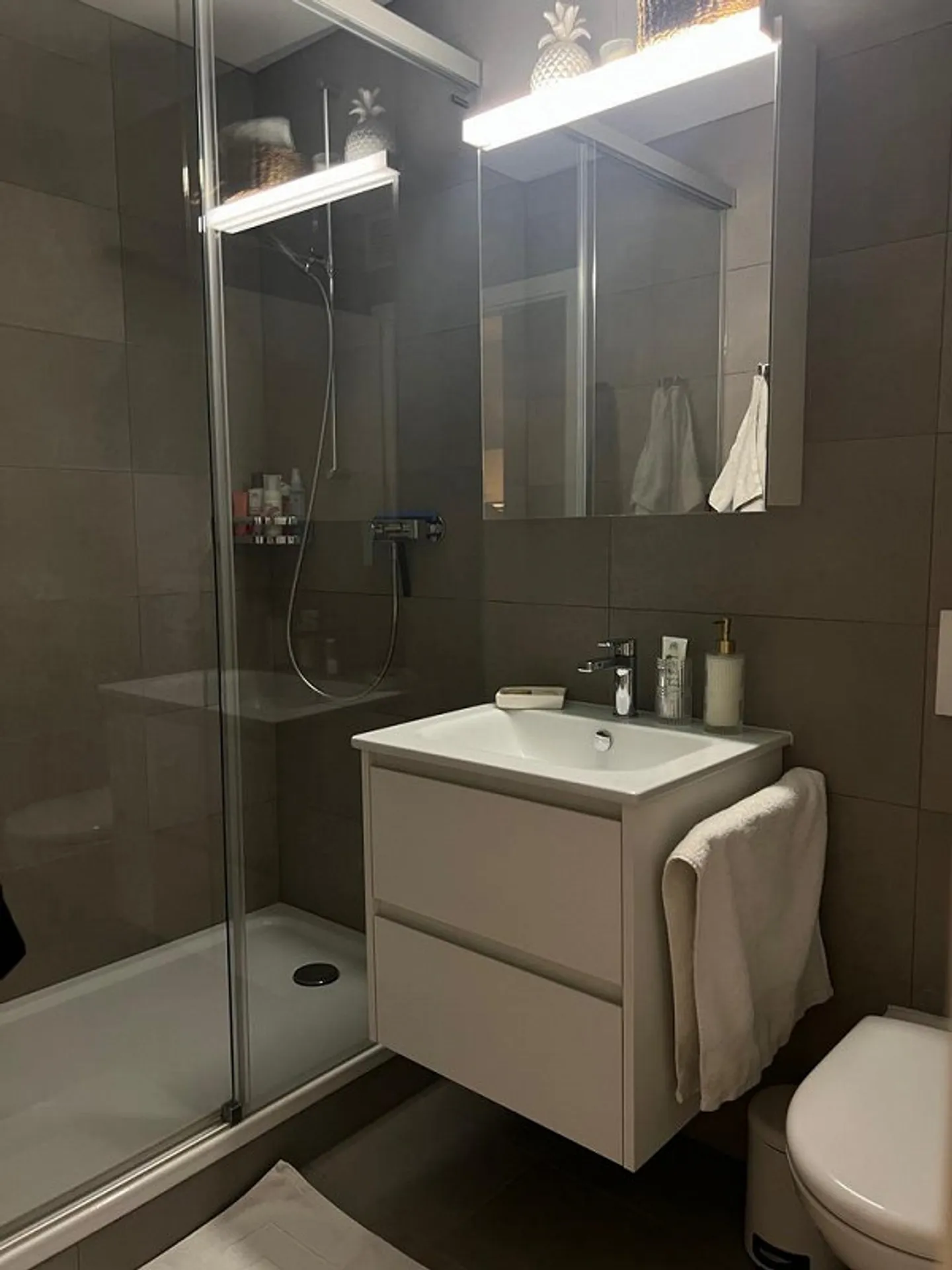 Extraordinary Loft Apartment in the Heart of Bern - Photo 3 of 9