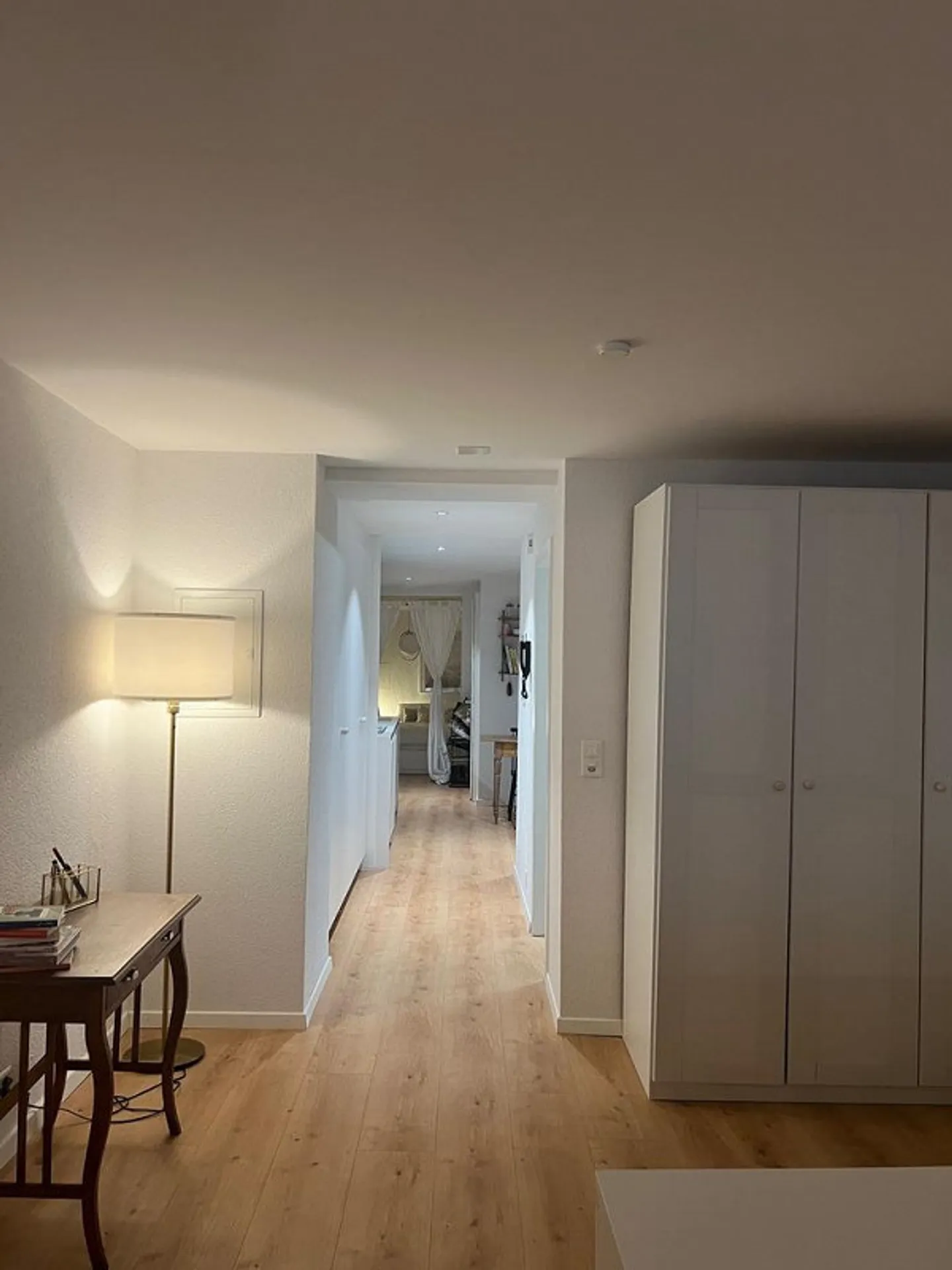 Extraordinary Loft Apartment in the Heart of Bern - Photo 8 of 9