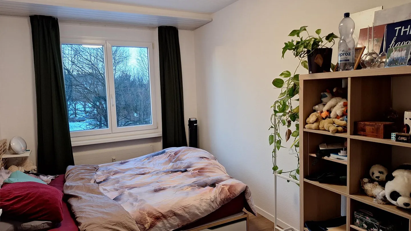 Charmante Wohnungen im Herzen von Wil - Foto 14 von 16