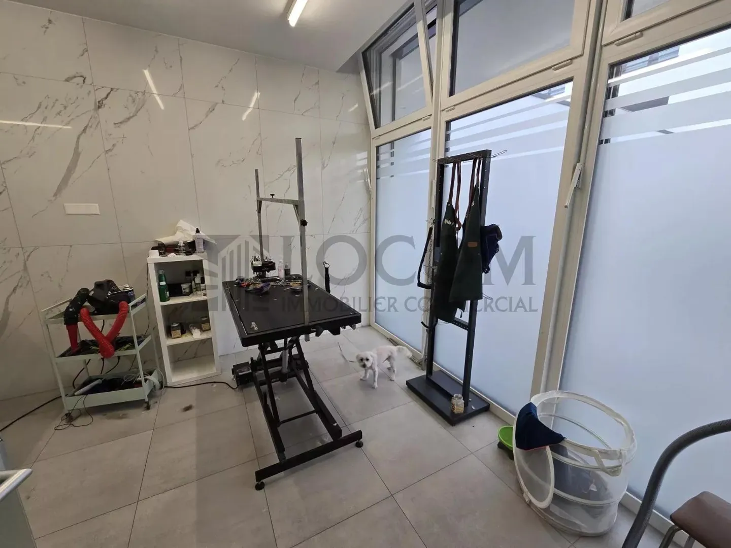 Kommerzielle Arkade mit hoher Sichtbarkeit - Foto 6 von 6