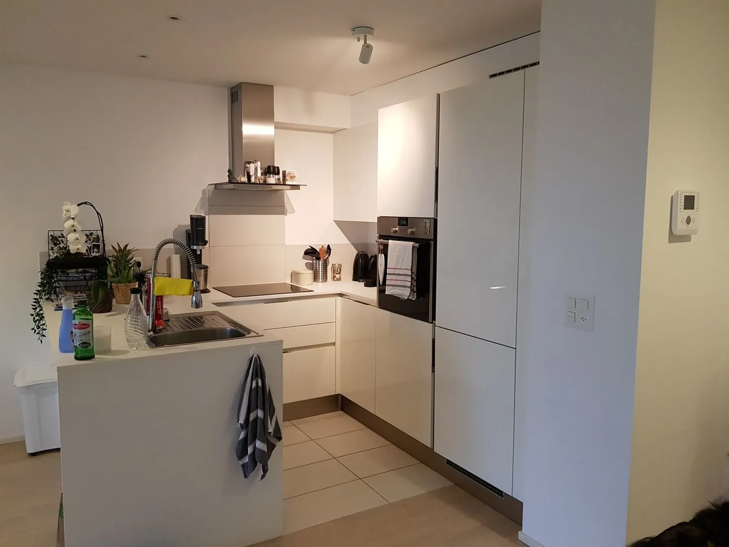 2,5-Zimmer-Wohnung - Foto 2 von 7