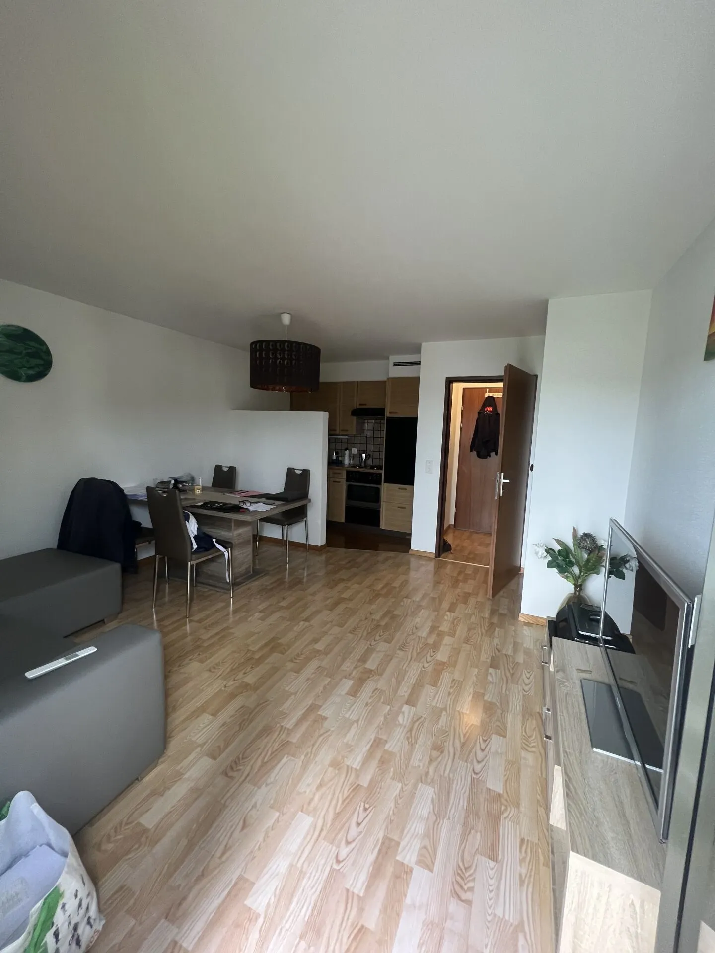 Sunny Single Apartment in Root - Photo 2 of 8