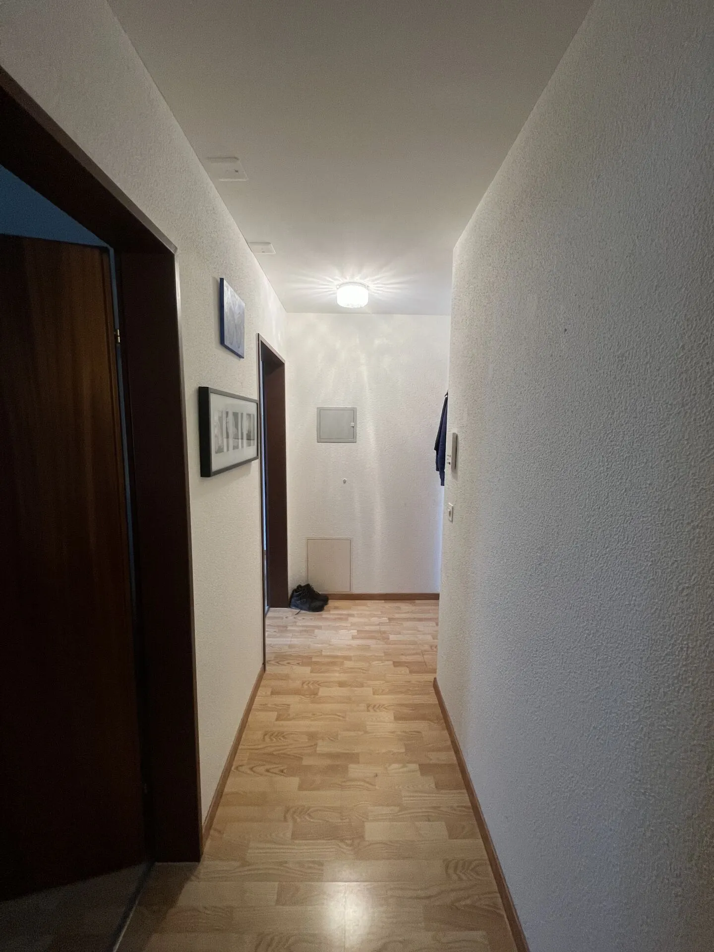 Sunny Single Apartment in Root - Photo 5 of 8