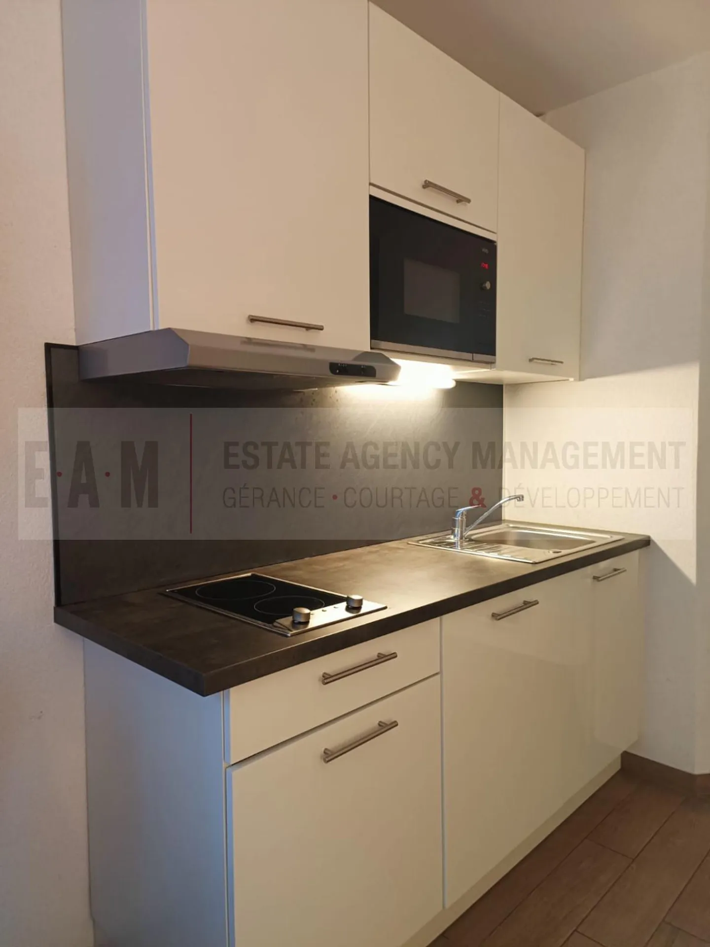 Charming Studio in Plainpalais - Photo 3 of 6