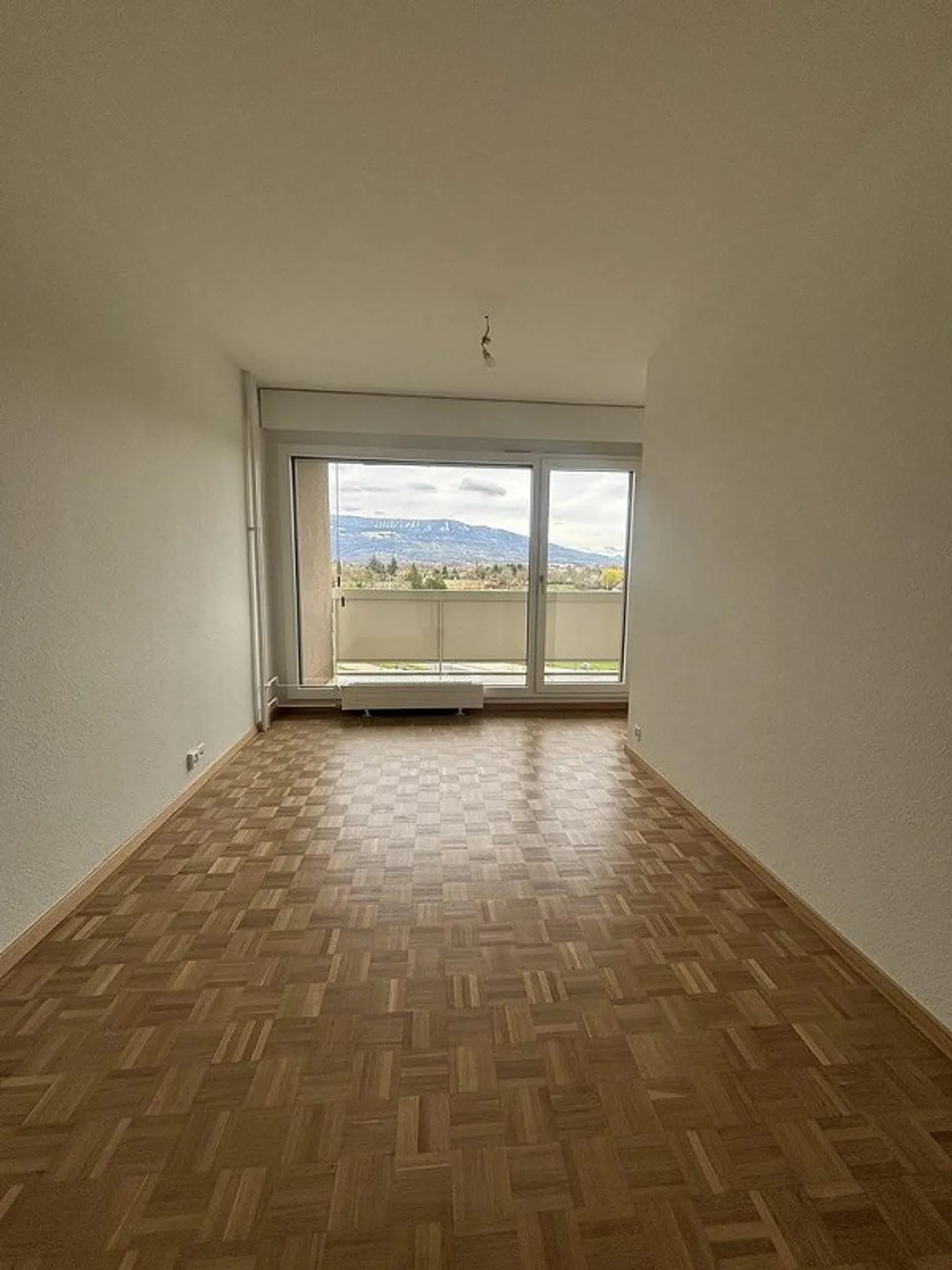 Beautiful renovated apartment in the Geneva countryside - Thônex - Photo 4 of 6