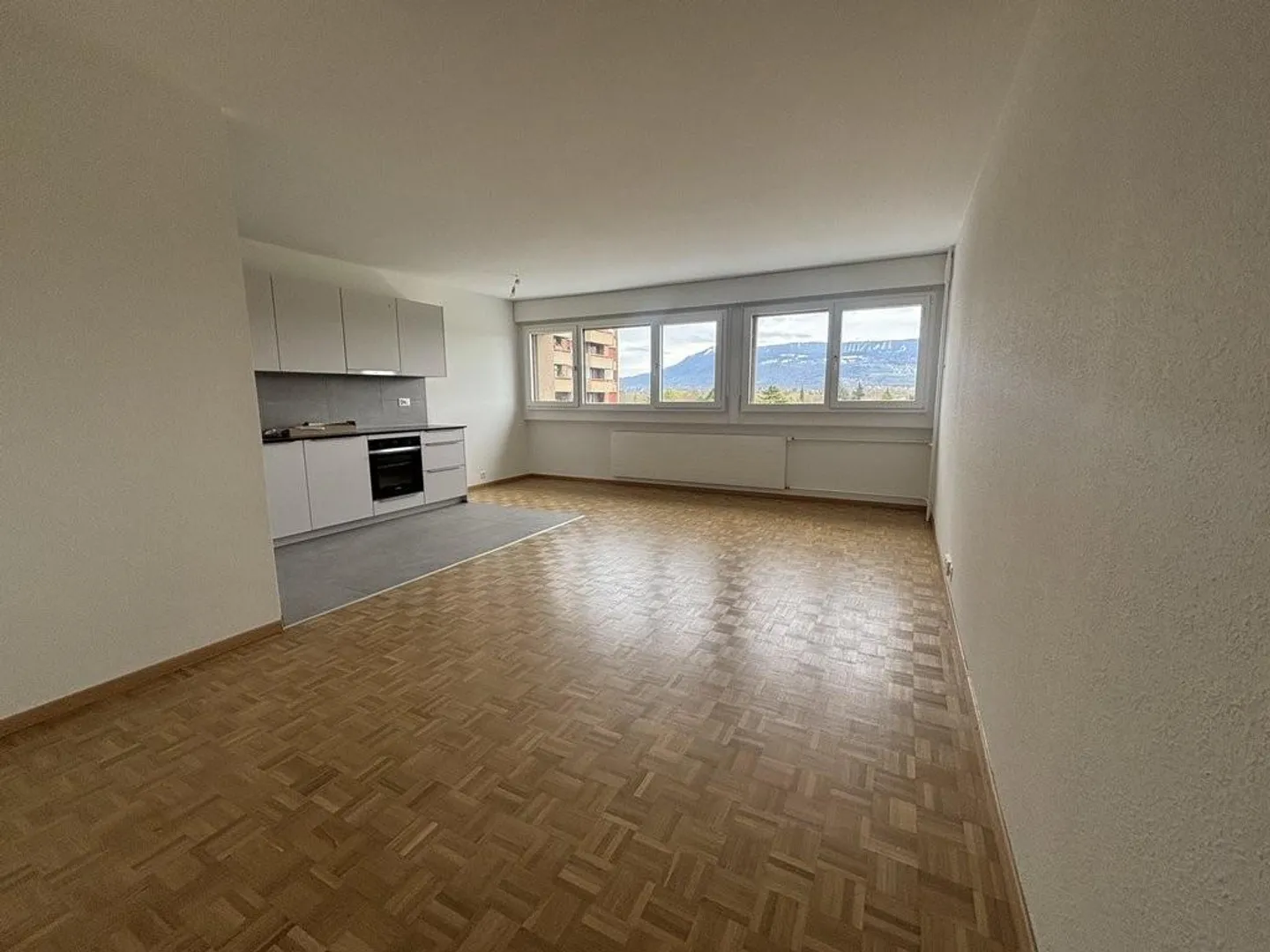 Beautiful renovated apartment in the Geneva countryside - Thônex - Photo 3 of 6