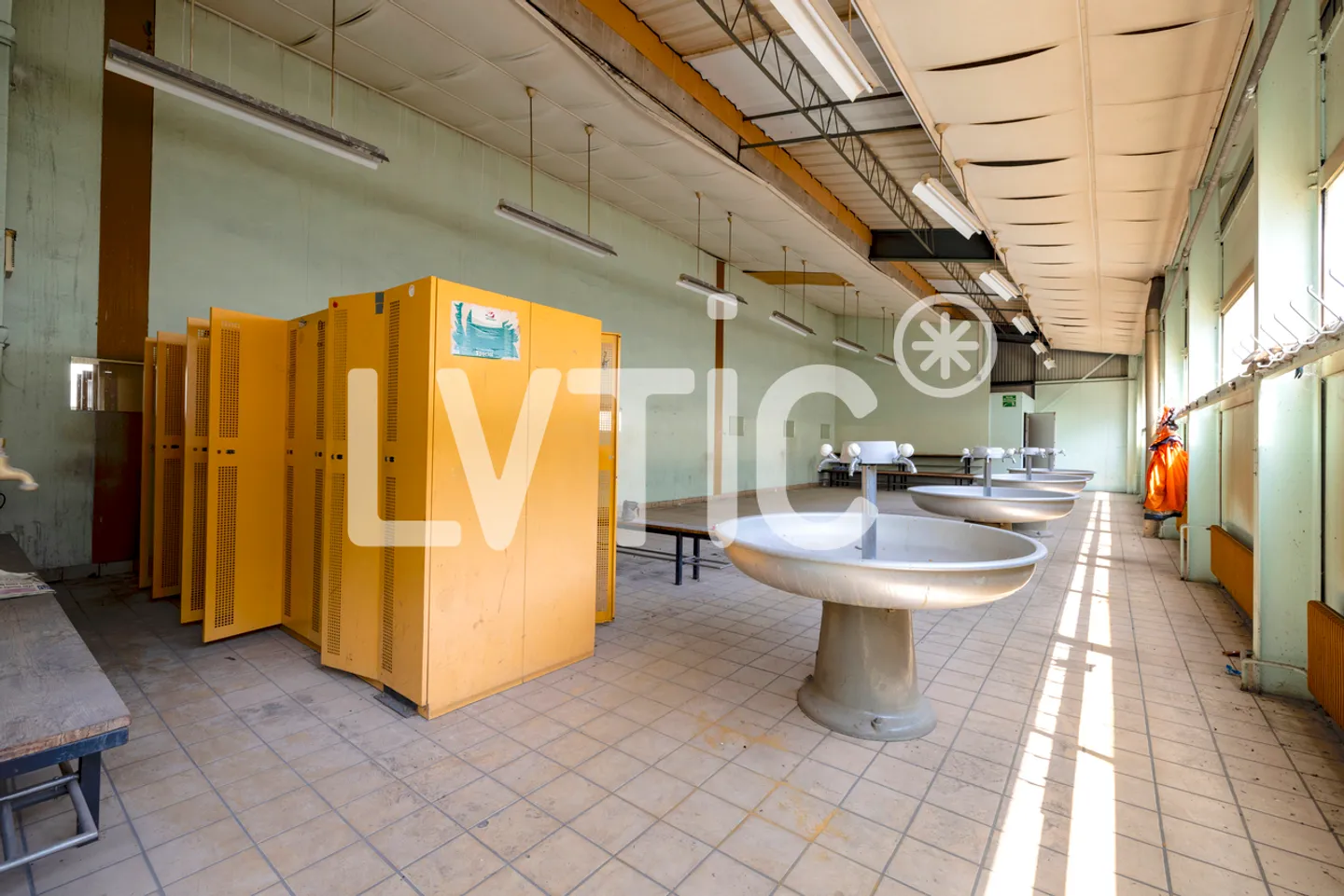Capannoni, magazzini, laboratori di 15.000 m2 divisibili in affitto ad Aigle - Foto 20 di 26