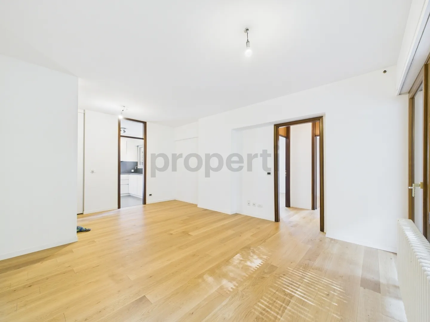 Splendido Appartamento rinnovato 3.5 locali con vista lago - Foto 1 di 13
