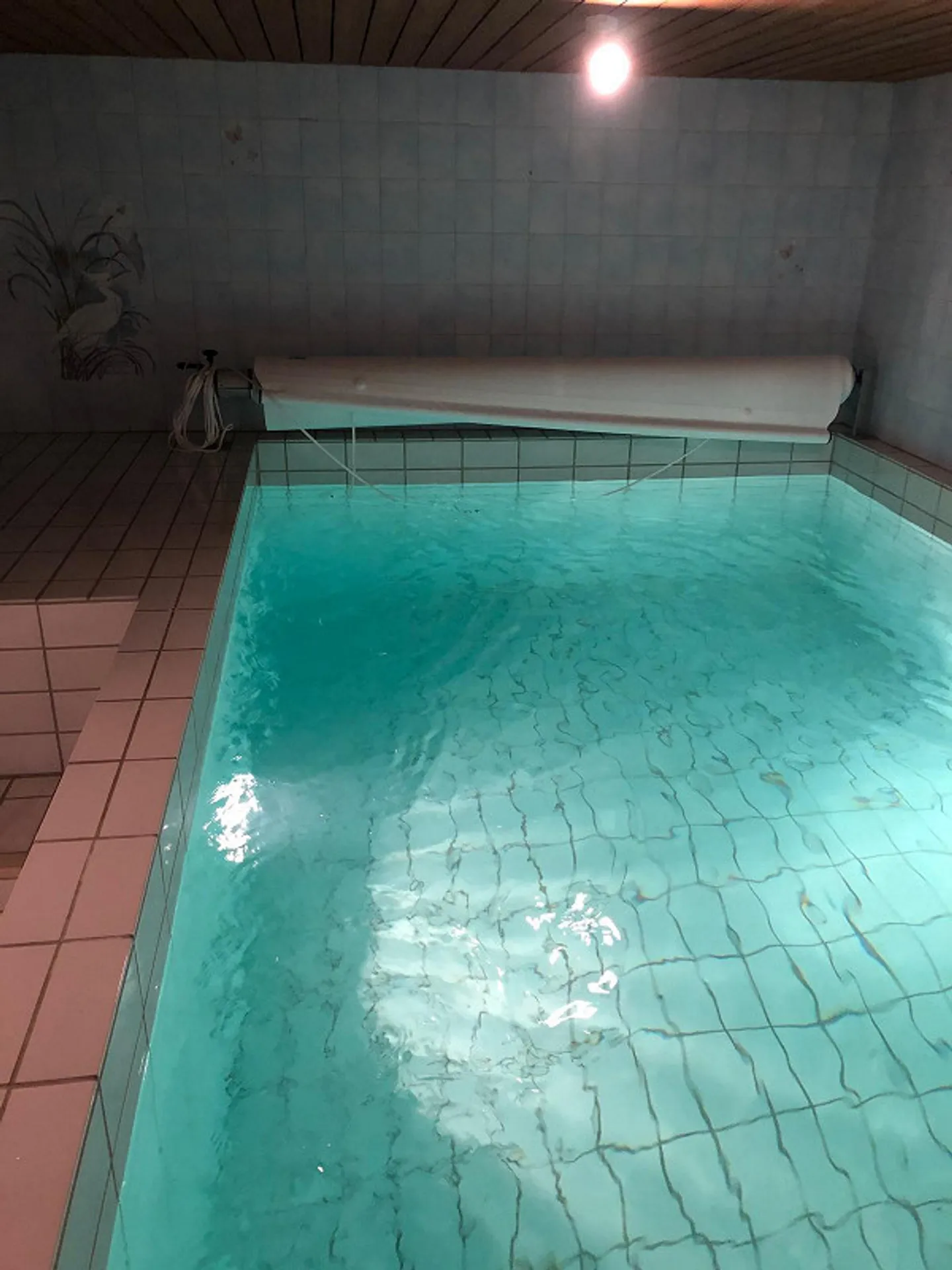 Appartamento moderno con piscina interna e giardino privato - Foto 5 di 7