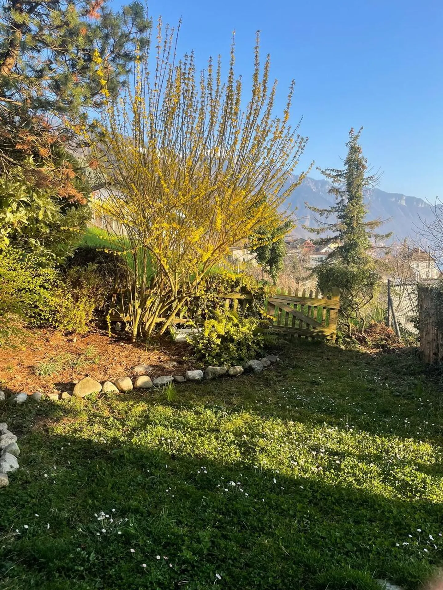 Charming apartment with garden and stunning view of Lake Geneva - Photo 2 of 7