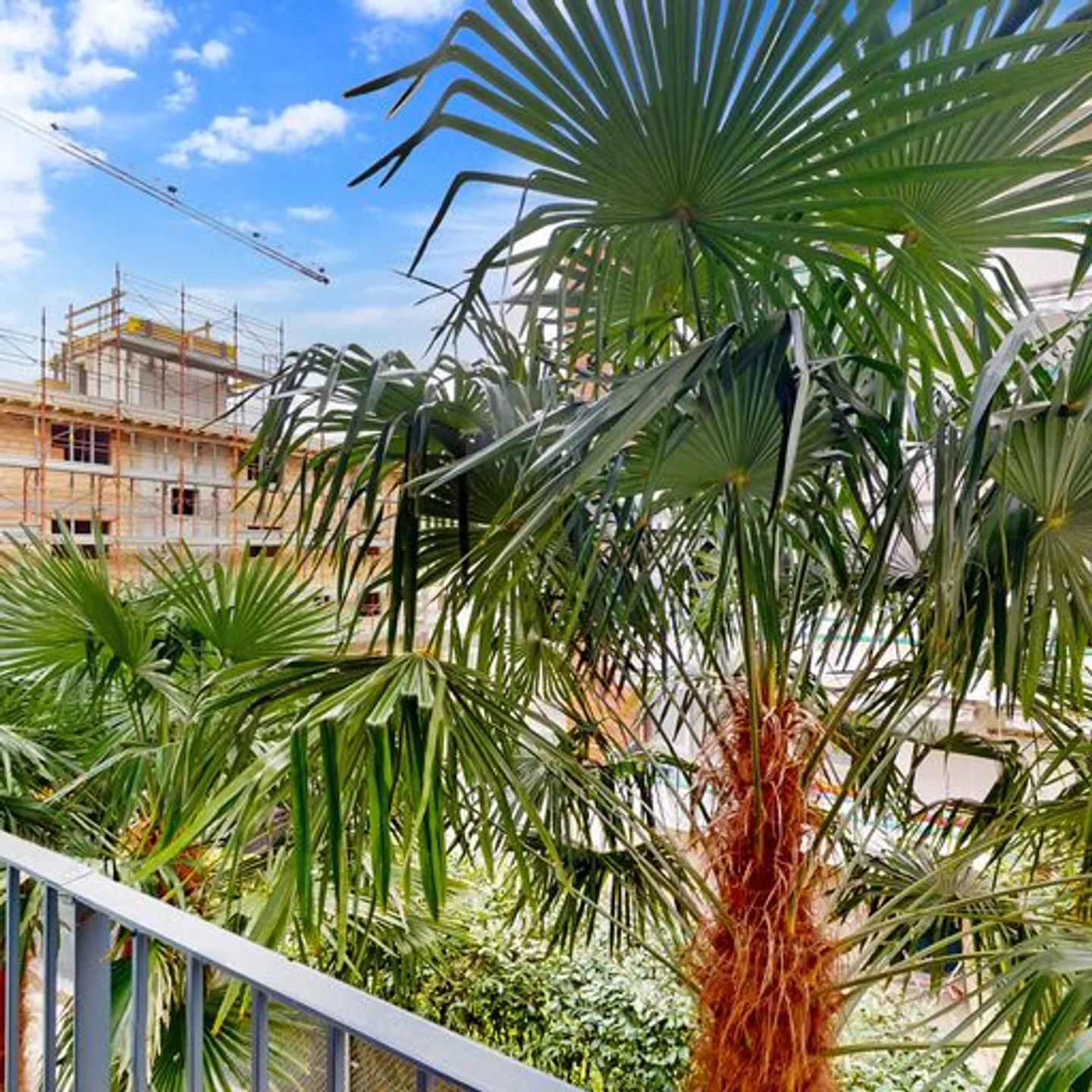 Furnished apartment for rent - Photo 5 of 6