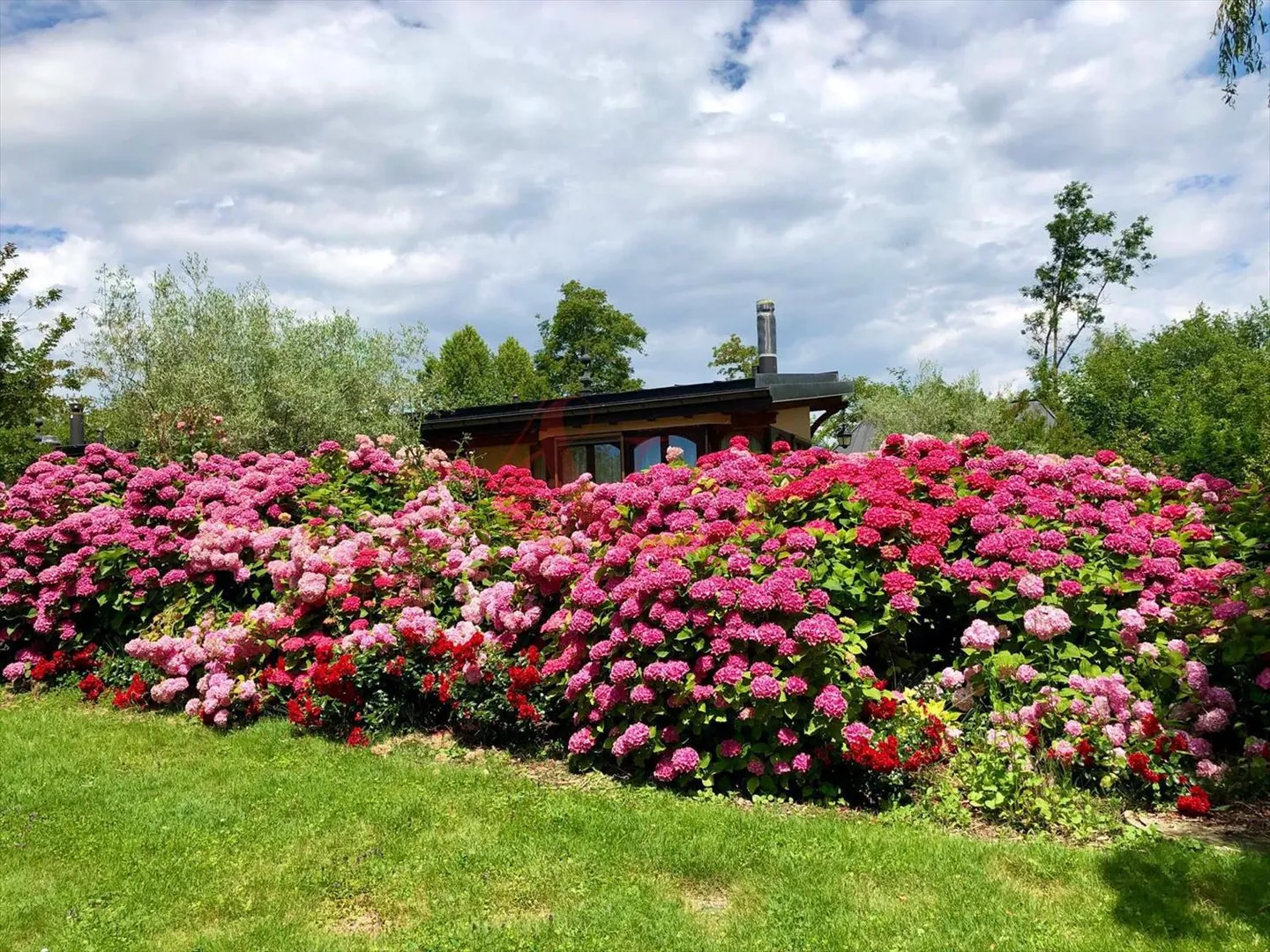 Casa eccezionale nel cuore di un parco lussureggiante - Foto 1 di 7