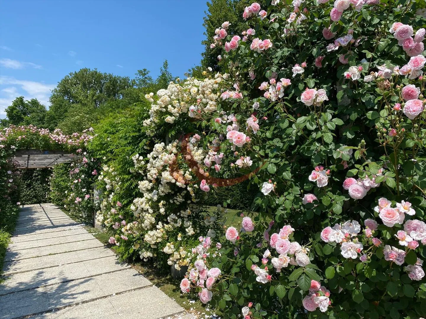 Casa eccezionale nel cuore di un parco lussureggiante - Foto 7 di 7