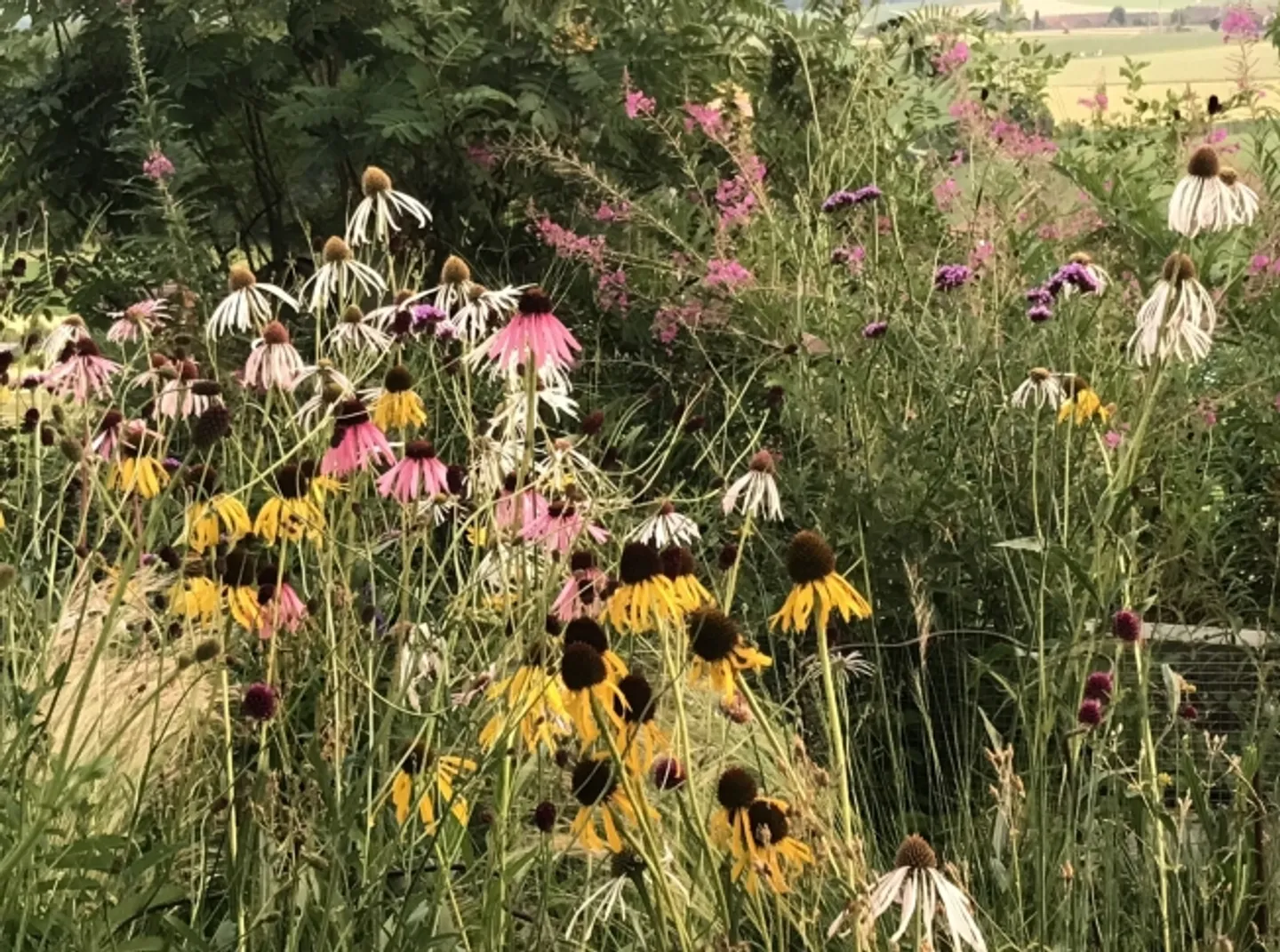 Appartement 2½ pièces à Innerberg (BE), meublé, temporaire - Photo 8 sur 8