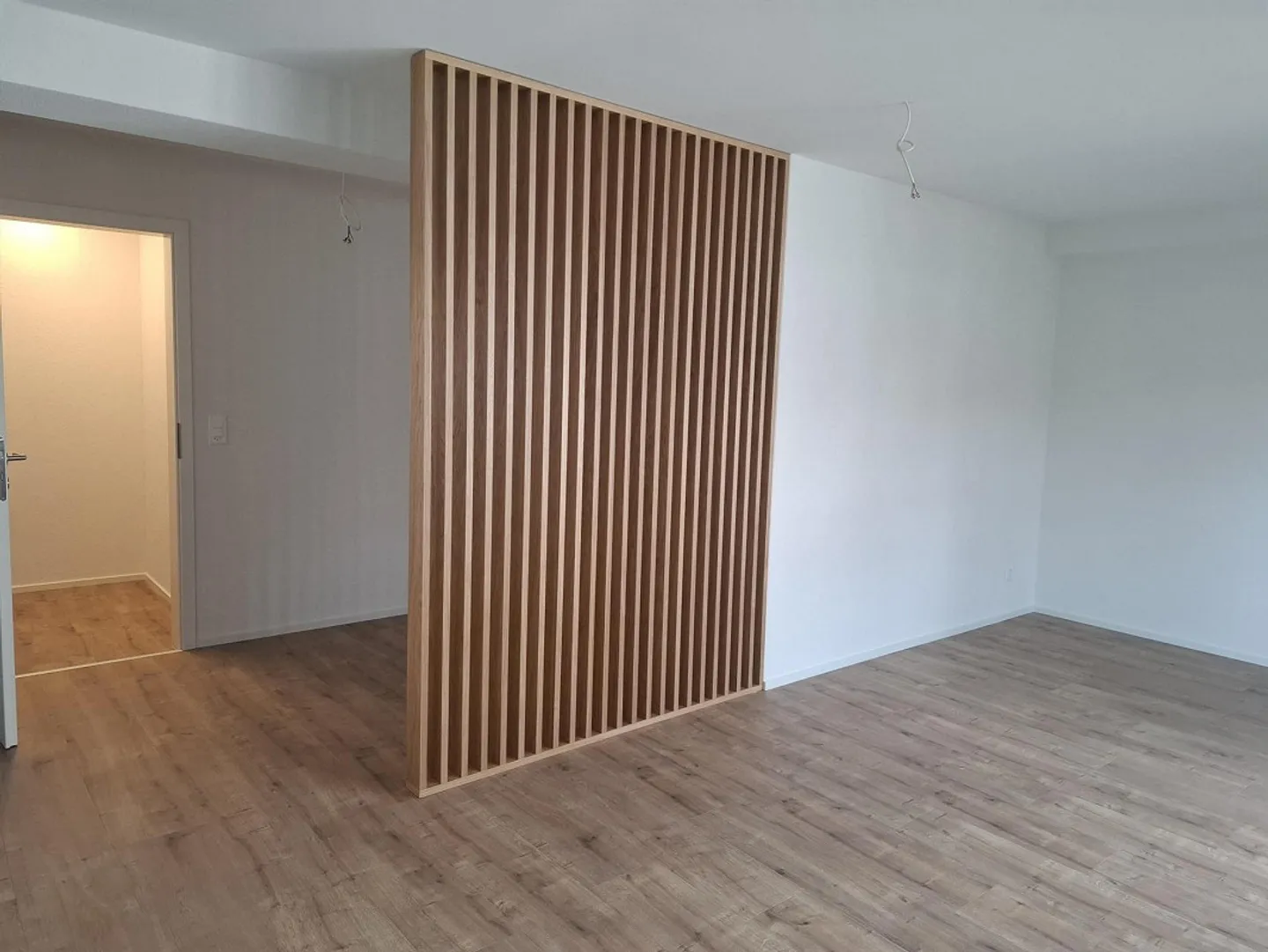 Modern 2.5 Room Apartment - First Occupancy After Complete Renovation - Photo 10 of 10