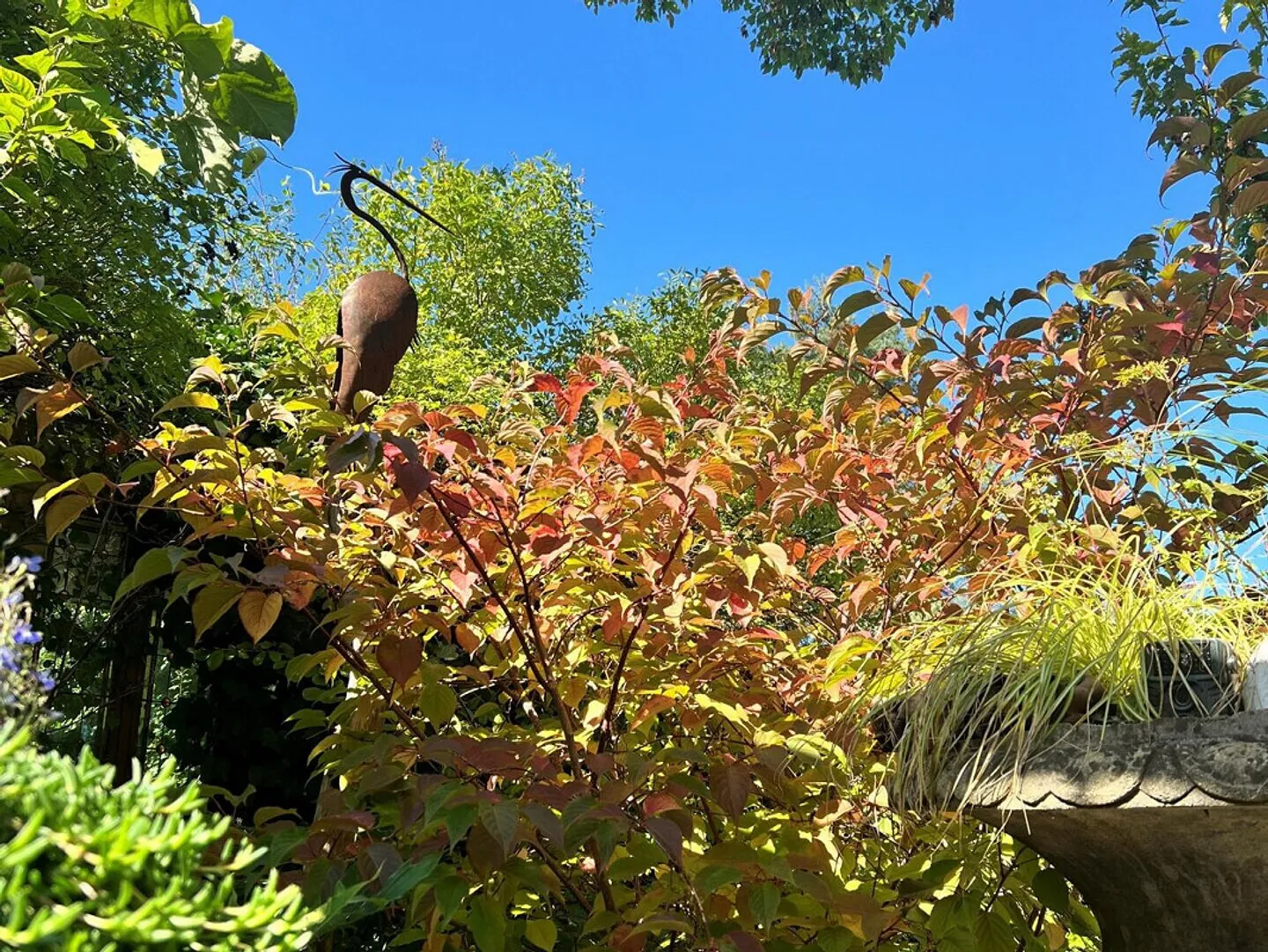 Stilvolles Zuhause mit Garten - Foto 15 von 18