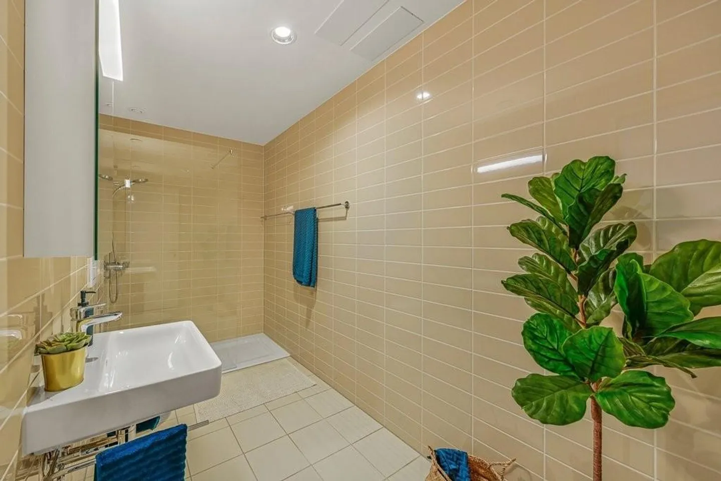 Large Rooftop Terrace in the Center of Baden - Photo 6 of 8