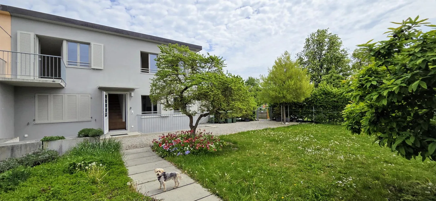 Lovingly renovated terraced house, Birnenweg 19, 8404 Winterthur - Photo 3 of 15