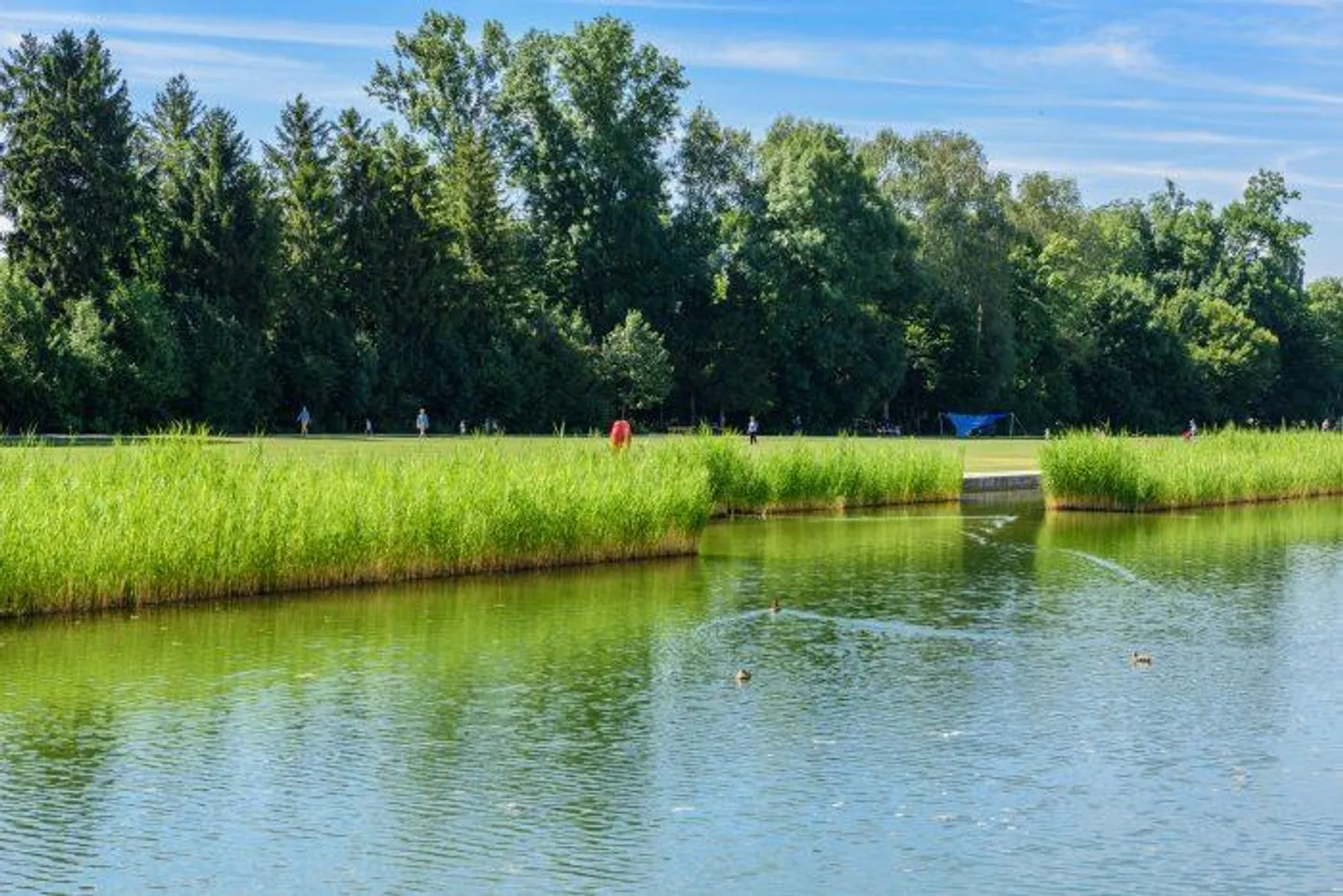 Appartamento attraente e luminoso di 1,5 stanze nel Glattpark - Piccolo ma bello! - Foto 8 di 9