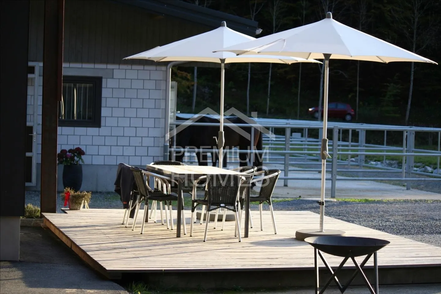 Ein Zuhause für Mensch und Tiere - Foto 3 von 8