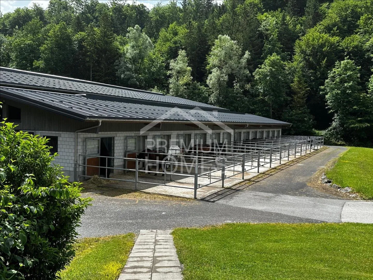 Ein Zuhause für Mensch und Tiere - Foto 6 von 8