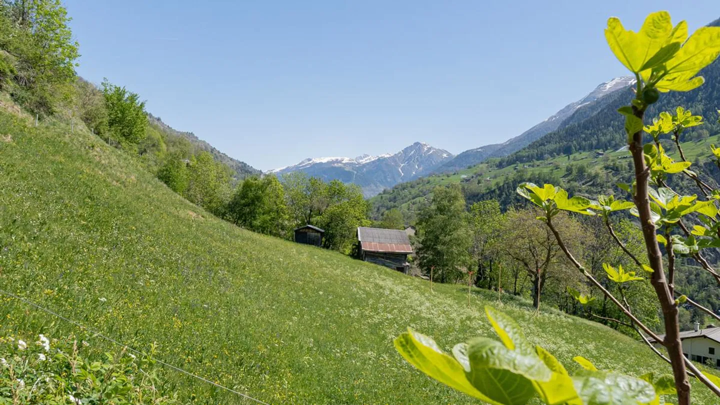 Chalet mit drei Wohnungen - Foto 34 von 40