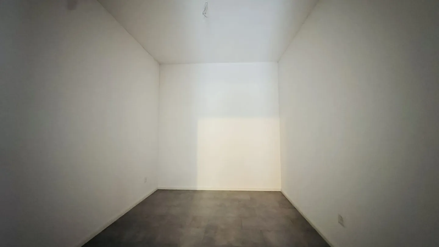 Casa multigenerazionale con 3 unità abitative, capanno e 15 posti auto - forte rendimento a Zunzgen - Foto 19 di 26