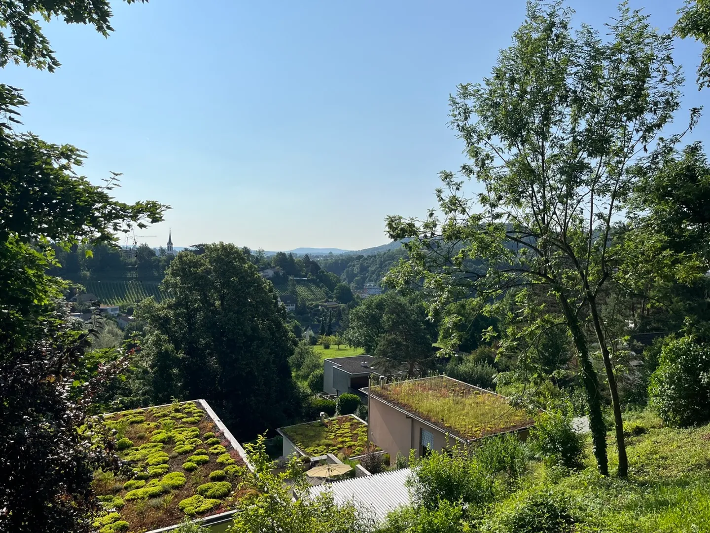 Spacious and Charming Condominium on the Breite - Photo 3 of 8