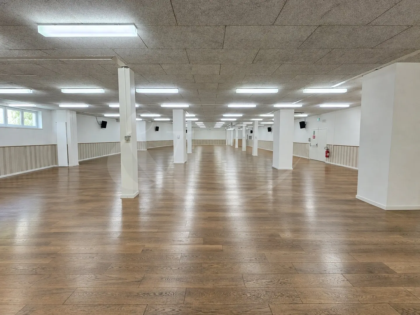 Carouge ? Commercial space of 745 m² on the ground floor, in two PPE lots, rented until... - Photo 3 of 6