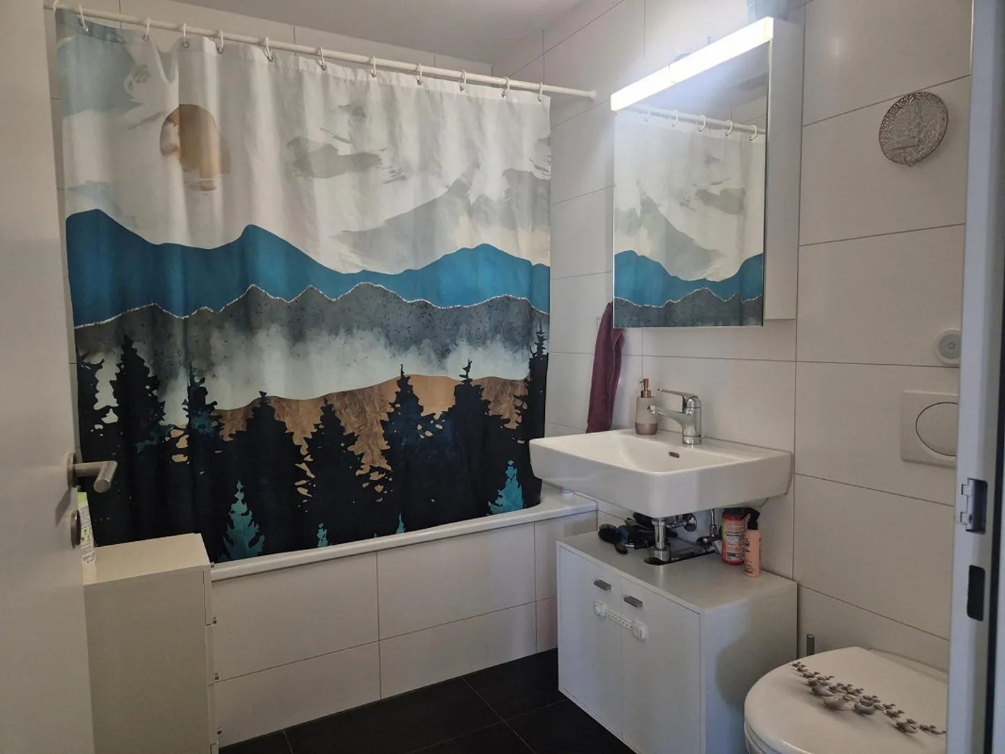 Appartement de 3,5 pièces au rez-de-chaussée à louer - Photo 6 sur 11