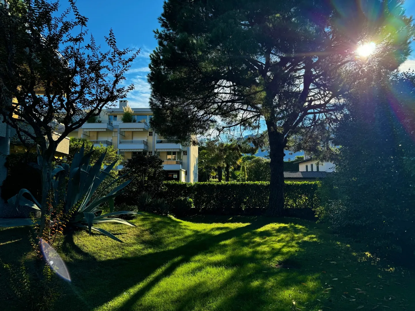 Leckeres 2,5-Zimmer-Apartment in Ascona - Foto 10 von 11