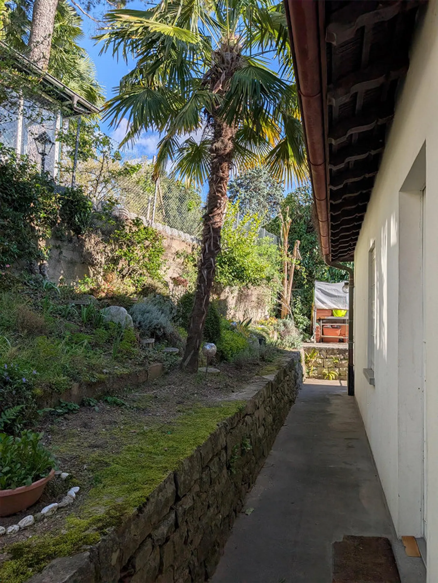 Luminoso appartamento di 4 stanze a Ruvigliana con vista sul lago - Foto 10 di 10