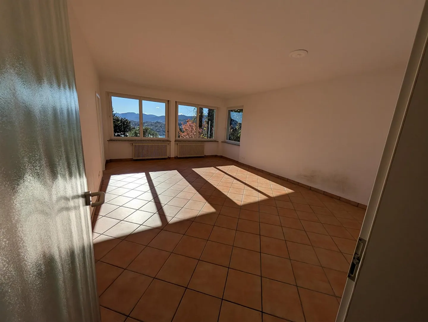 Luminoso appartamento di 4 stanze a Ruvigliana con vista sul lago - Foto 3 di 10