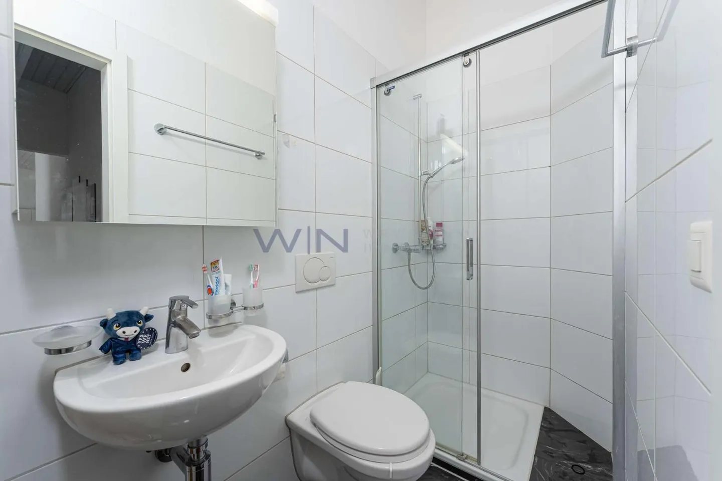 Vivere nella metropoli della valle del Reno - Foto 10 di 11