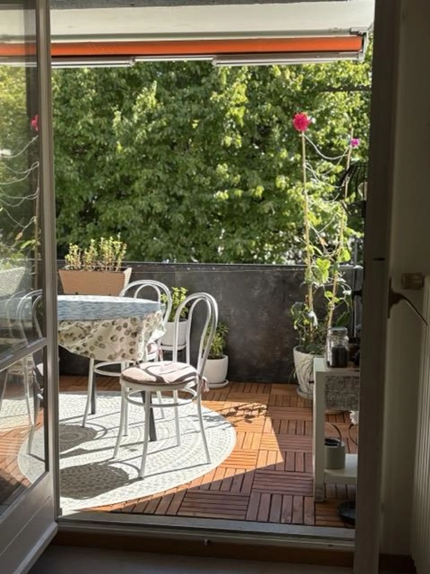 Charmante Wohnung mit sonnigem Balkon - Foto 1 von 22