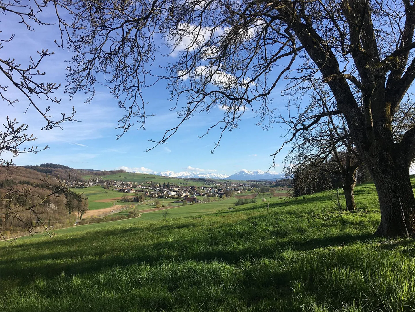 Charmantes Chalet mit mediterranem Flair - Foto 15 von 17