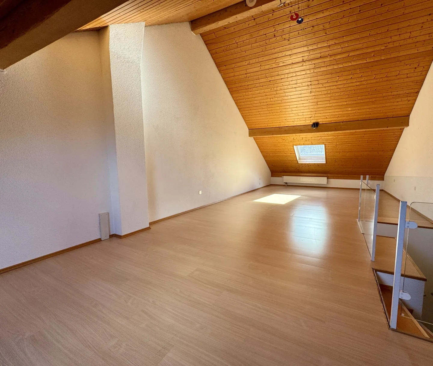A Home to Fall in Love - Family Paradise in Birr - Photo 9 of 15