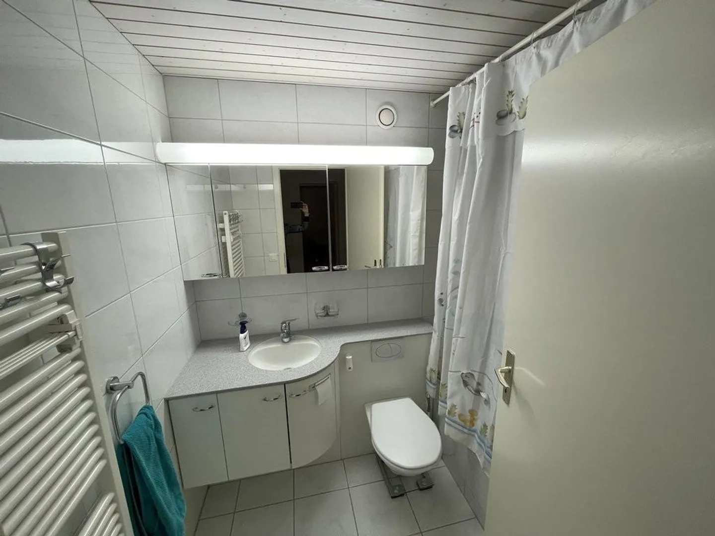 Appartement 2 pièces près de la gare de Thalwil à louer - Photo 6 sur 9