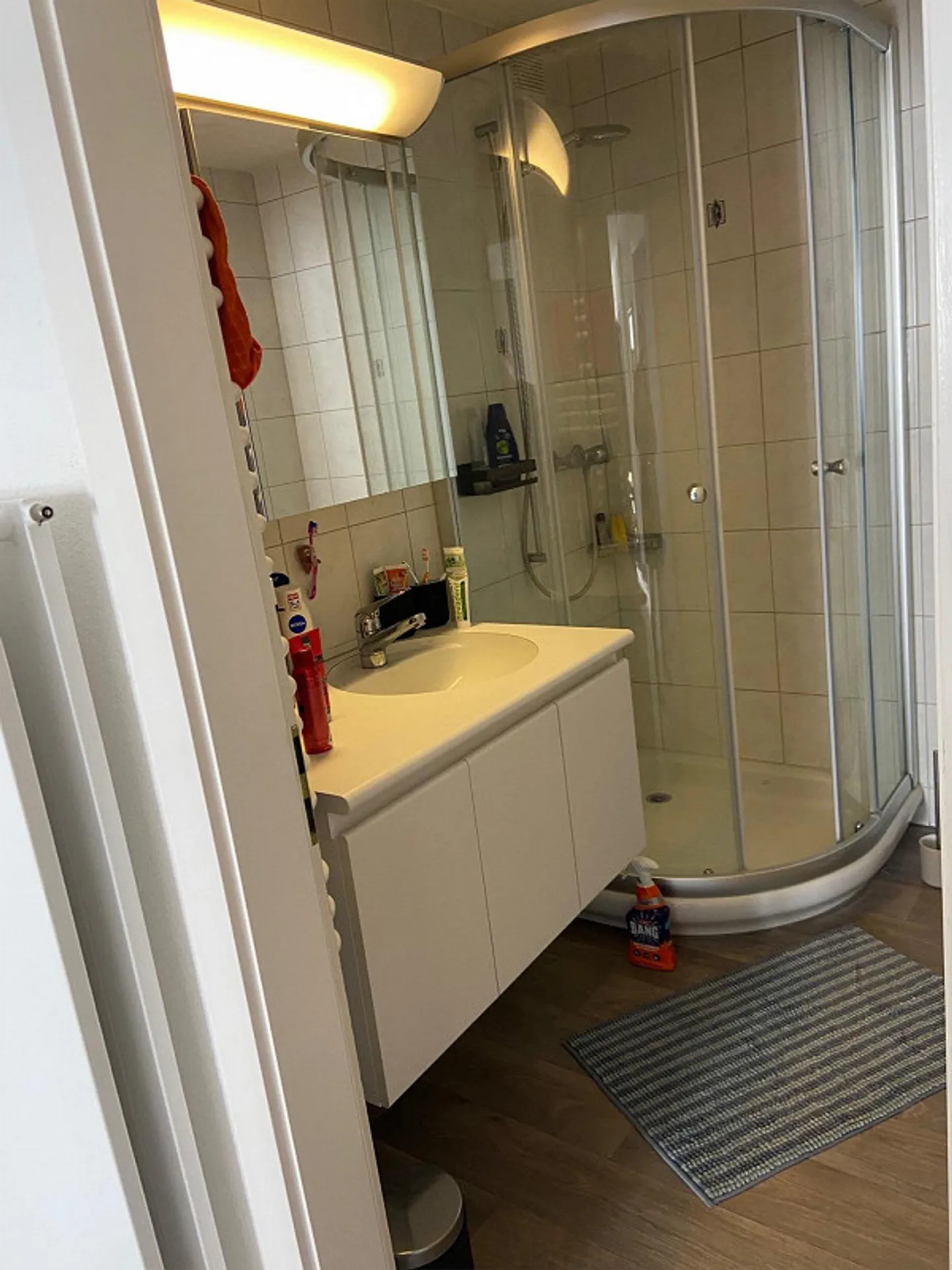 Charming Apartment in Family House - Photo 9 of 10