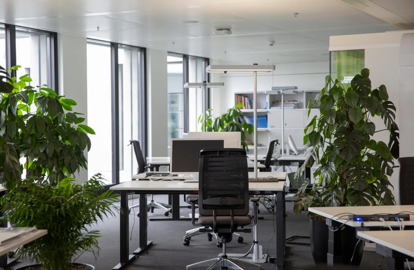 Der Raum, der für Ihr Geschäft geeignet ist - Foto 1 von 4