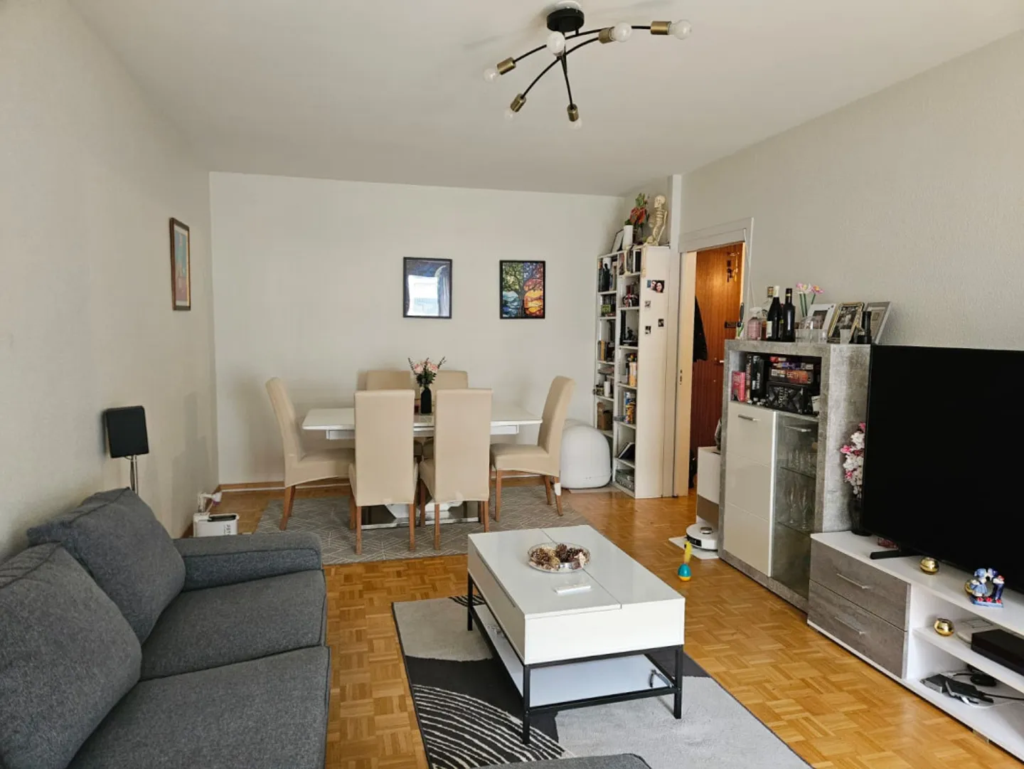 Charming Apartment in Geneva - Photo 2 of 8
