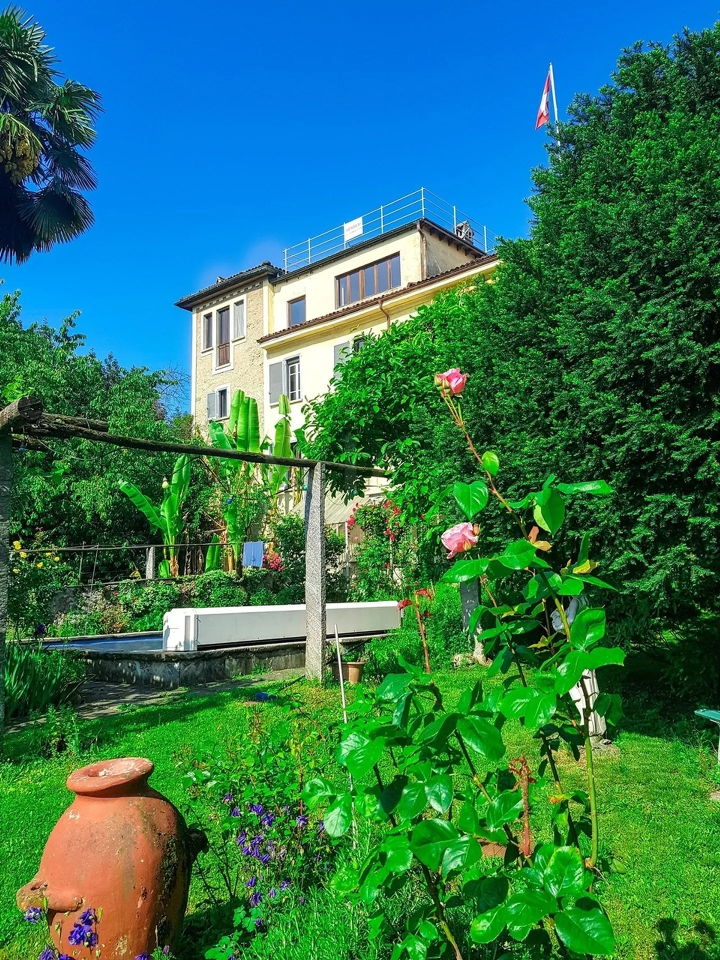 Casa singola in affitto - Foto 5 di 17